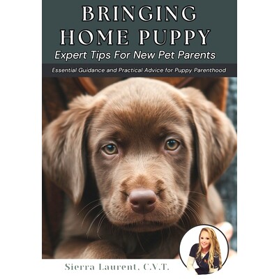 预订 Bringing Home Puppy: Expert Tips for New Pet Parents: Essential Guidance and Practical Advice for Puppy Parenthood: