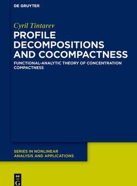 [预订]Concentration Compactness 9783110530346