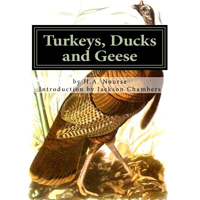 预订 Turkeys, Ducks and Geese: Breeding, Hatching and Rearing For Pleasure or Profit: 9781539715689