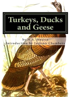 预订 Turkeys, Ducks and Geese: Breeding, Hatching and Rearing For Pleasure or Profit: 9781539715689