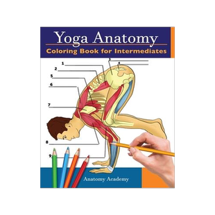 [预订]Yoga Anatomy Coloring Book for Intermediates: 50+ Incredibly Detailed Self-Test Intermediate Yoga Po 9781914207013