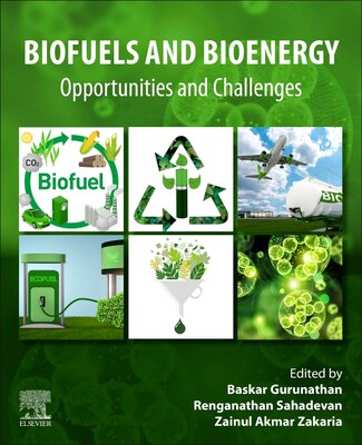 【预订】Biofuels and Bioenergy 9780323852692