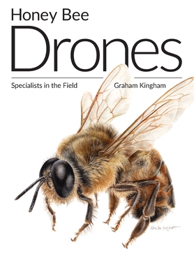 【预订】Honey Bee Drones: Specialists in the Field