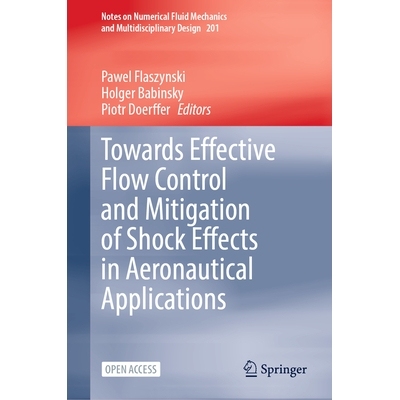 预订 Towards Effective Flow Control and Mitigation of Shock Effects in Aeronautical Applications 航空应用中有效流动控制