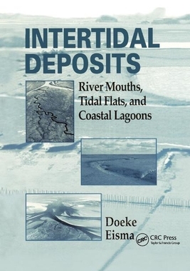 【预订】Intertidal Deposits