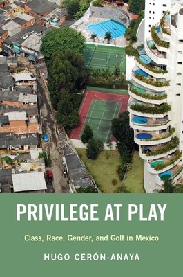 【预订】Privilege at Play