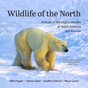 High Europe and America Latitudes Animals North the Wildlife 预订