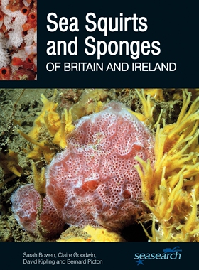 【预订】Sea Squirts and Sea Sponges of Britain and Ireland