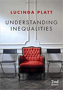 【预订】Understanding Inequalities - Stratification And Difference, Second Edition