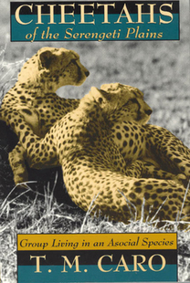 【预订】Cheetahs of the Serengeti Plains 9780226094342