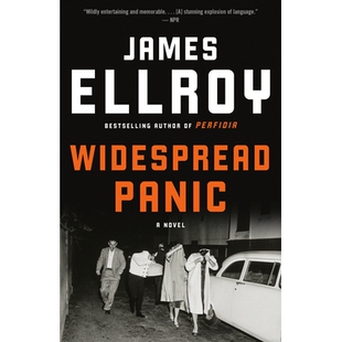 预订 Widespread Panic: A Novel 普遍恐慌: 9780593313107