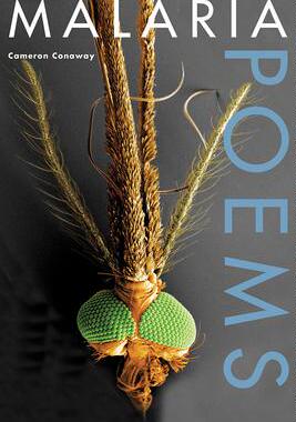 [预订]Malaria, Poems 9781611861440