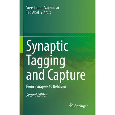 From Synapses to Behavior