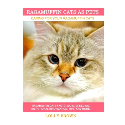 预订 Ragamuffin Cats As Pets: Ragamuffin Cats facts, care, breeding, nutritional information, tips, and more! Caring For