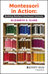 Action Building Schools Montessori Resilient 9781119763123 预订