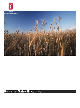 预订 Compreender a insegurança alimentar doméstica dos comerciantes ambulantes em Durban: 9786209097003