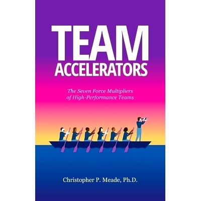 现货 Team Accelerators: The Seven Force Multipliers of High-Performance Teams: 9798988666127