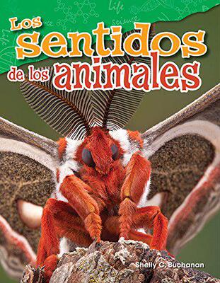【预售】Los Sentidos de Los Animales (Animal...