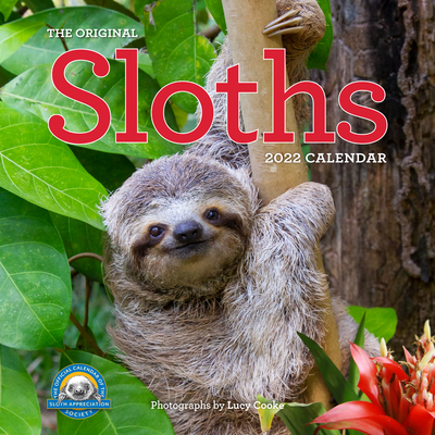 【预订】Original Sloths Wall Calendar 2022: 12 Months of Irresitable Cuteness, Sloth Trivia, S 9781523512140-封面