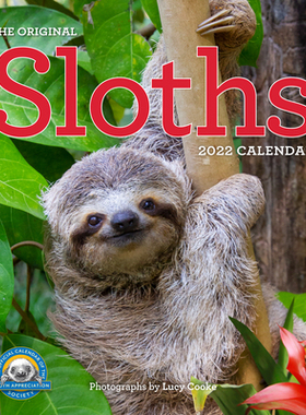 【预订】Original Sloths Wall Calendar 2022: 12 Months of Irresitable Cuteness, Sloth Trivia, S 9781523512140