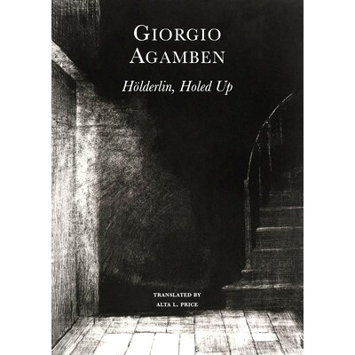 预订 Hölderlin’s Madness: Chronicle of a Dwelling Life, 1806–1843 荷尔德林，藏起来：1806–1843: 9781803091150