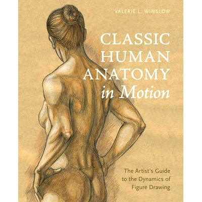 预订 Classic Human Anatomy in Motion: The Artist’s Guide to the Dynamics of Figure Drawing 经典动态人体解剖：艺术家人体
