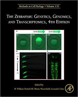 Zebrafish The 预售