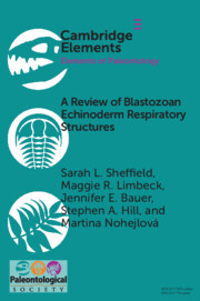 【预订】A Review of Blastozoan Echinoderm Respiratory Structures 9781108794725