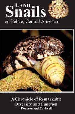 [预订]Land Snails of Belize, Central America: A Remarkable Chronicle of Diversity and Function 9780999802304