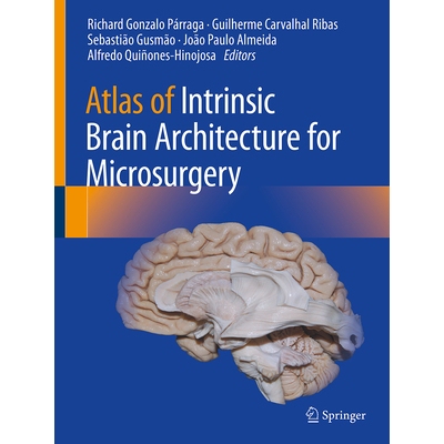 预订 Atlas of Intrinsic Brain Architecture for Microsurgery 显微外科手术内在脑结构图谱 9783031951183