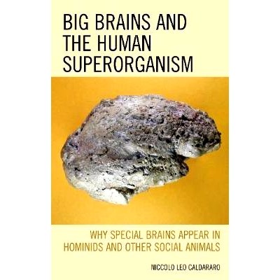 Why Special Brains Appear in Hominids an