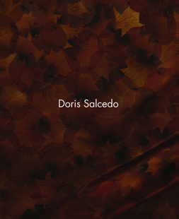 Salcedo Doris 9780226244587 预订