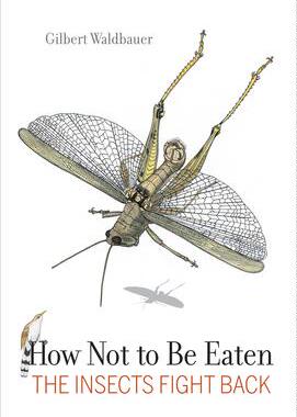 [预订]How Not to be Eaten - The Insects Fight Back 9780520383005