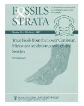 预订 Trace Fossils From The Lower Cambrian Mickwitzia Sandstone, South-Central Sweden South-Central Sweden 瑞典中南部下