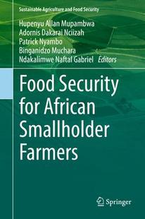 預(yù)訂 Smallholder for African Security Farmers 9789811667701 Food