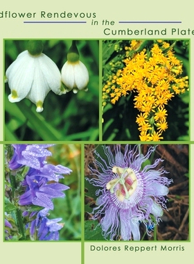 预订 Wildflower Rendevous in the Cumberland Plateau: 9781664281967