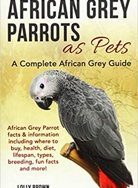 [预订]African Grey Parrots as Pets: African Grey Parrot facts & information including where to buy, health, diet, life