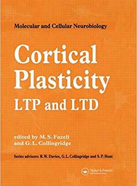 【预售】Cortical Plasticity