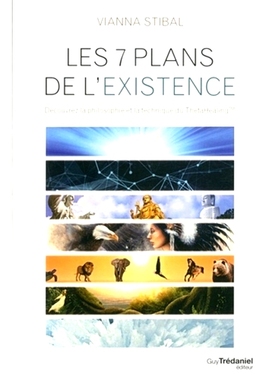 预订 Les 7 plans de l’existence : découvrez la philosophie et la technique du ThetaHealing 存在的 7 个层面：探索 Theta