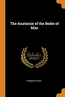 Anatomie The the Man Bodie 预订