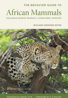[预订]Behavior Guide to African Mammals 9780520272972