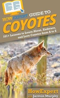 [预订]HowExpert Guide to Coyotes: 101+ Lessons to Learn About, Embrace, and Love Coyotes from A to Z 9781648914256