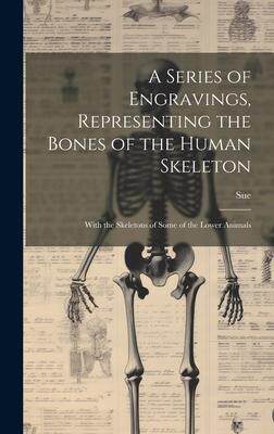 [预订]A Series of Engravings, Representing the Bones of the Human Skeleton: With the Skeletons of Some of  9781020279638