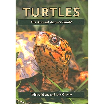 预订 Turtles: The Animal Answer Guide 海龟：动物解答指南: 9780801893490