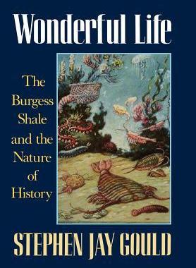 [预订]Wonderful Life: The Burgess Shale and the Nature of History 9780393027051