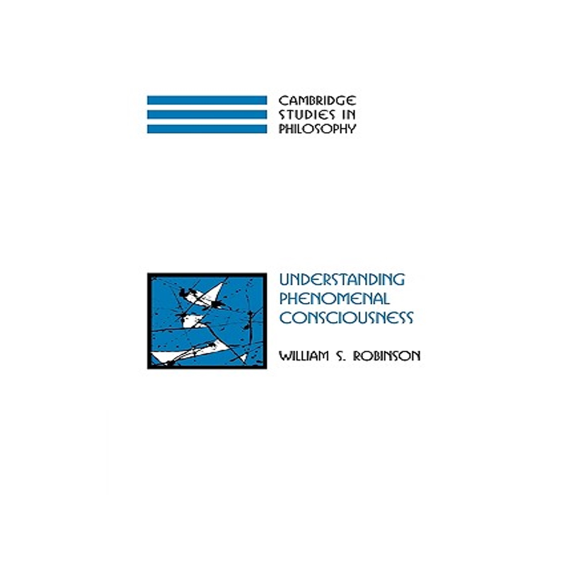 【预售】Understanding Phenomenal Consciousness