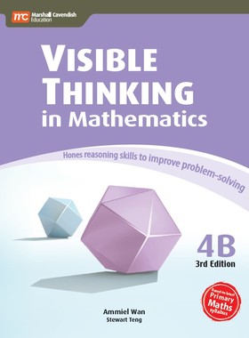 【预售】VISIBLE THINKING in Mathematics Making Mathematics Visual Primary 4B