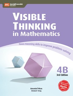THINKING Primary 预售 Visual VISIBLE Making Mathematics