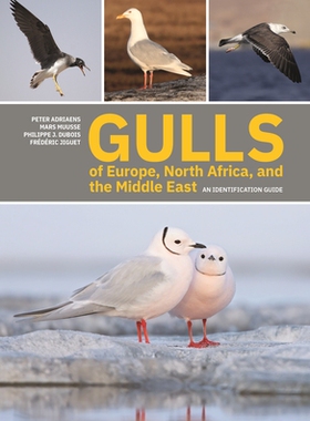 现货Gulls of Europe, North Africa, and the Middle East 9780691222837