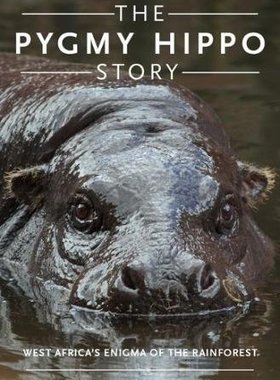 【预订】The Pygmy Hippo Story